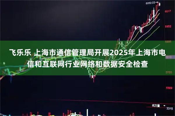 飞乐乐 上海市通信管理局开展2025年上海市电信和互联网行业网络和数据安全检查