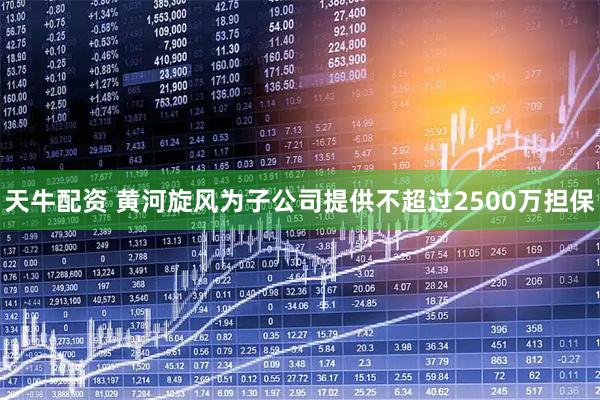 天牛配资 黄河旋风为子公司提供不超过2500万担保